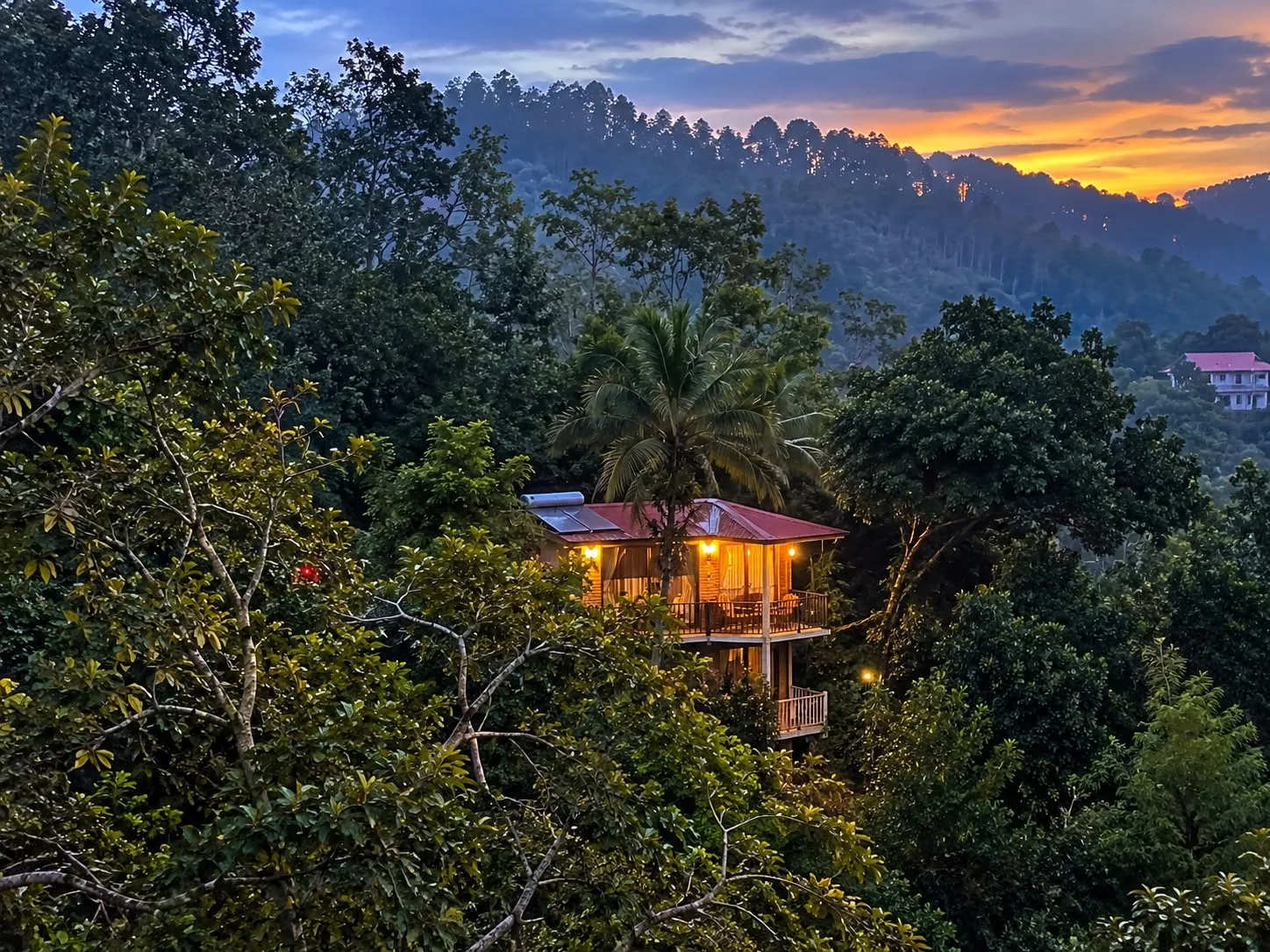 Country Homes nestled among green trees with warm room lighting and sunset colours above the Ella hills