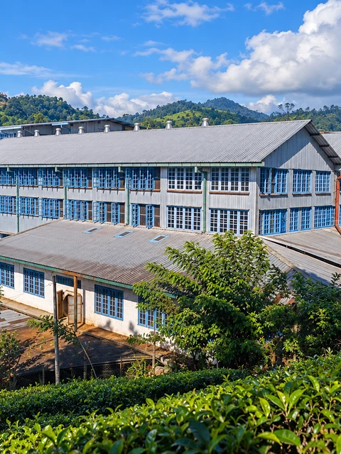 Realistic re-creation of Uva Halpewatte Tea Factory with blue-framed windows on the green hills near Ella