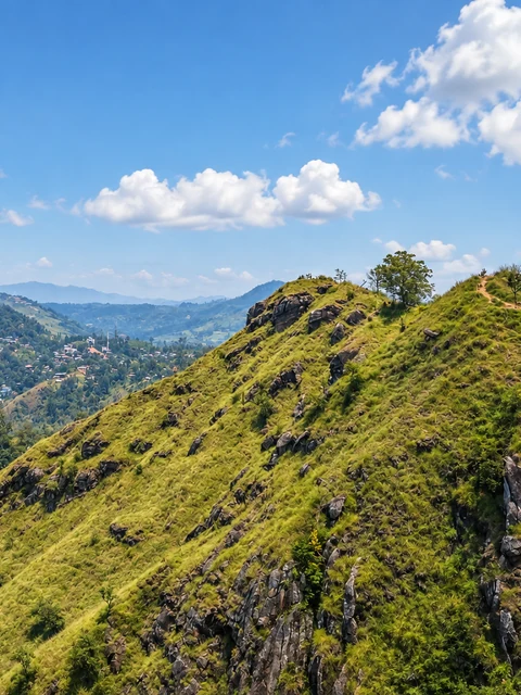 Realistic re-creation of the grassy ridges and footpath at Little Adam’s Peak in Ella